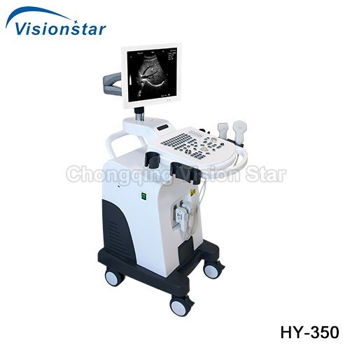 HY-350 Trolley Black & White Ultrasound Machine