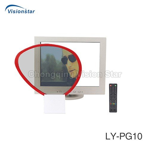 LY-PG10 Polarized Video Display