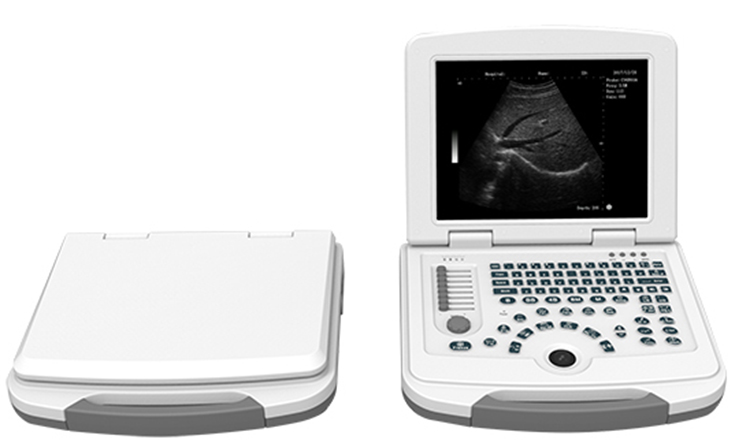 DW-500 B Mode Ultrasound scanner