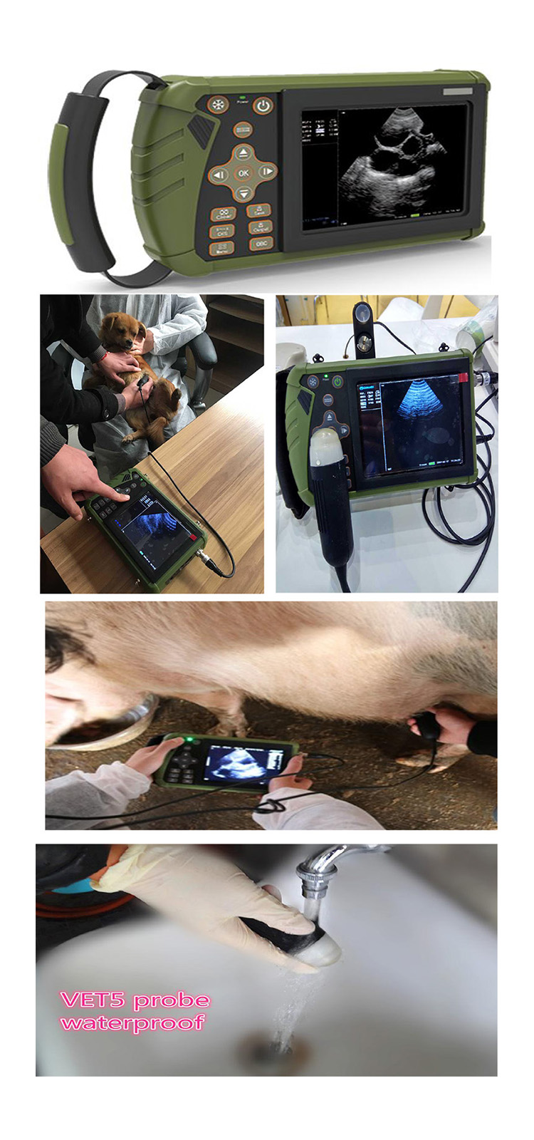 DW-VET5 Veterinary ultrasound machine