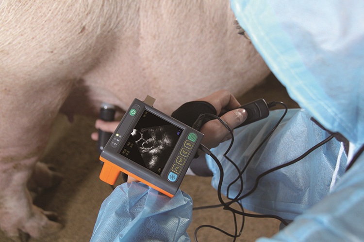 MSU-3 Veterinary Ultrasound Machine